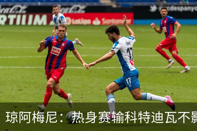 琼阿梅尼：热身赛输科特迪瓦不影响法国，可以说是一次小小的提醒